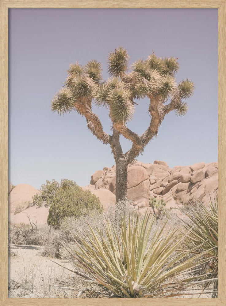 Desert Dreamscape | Poster