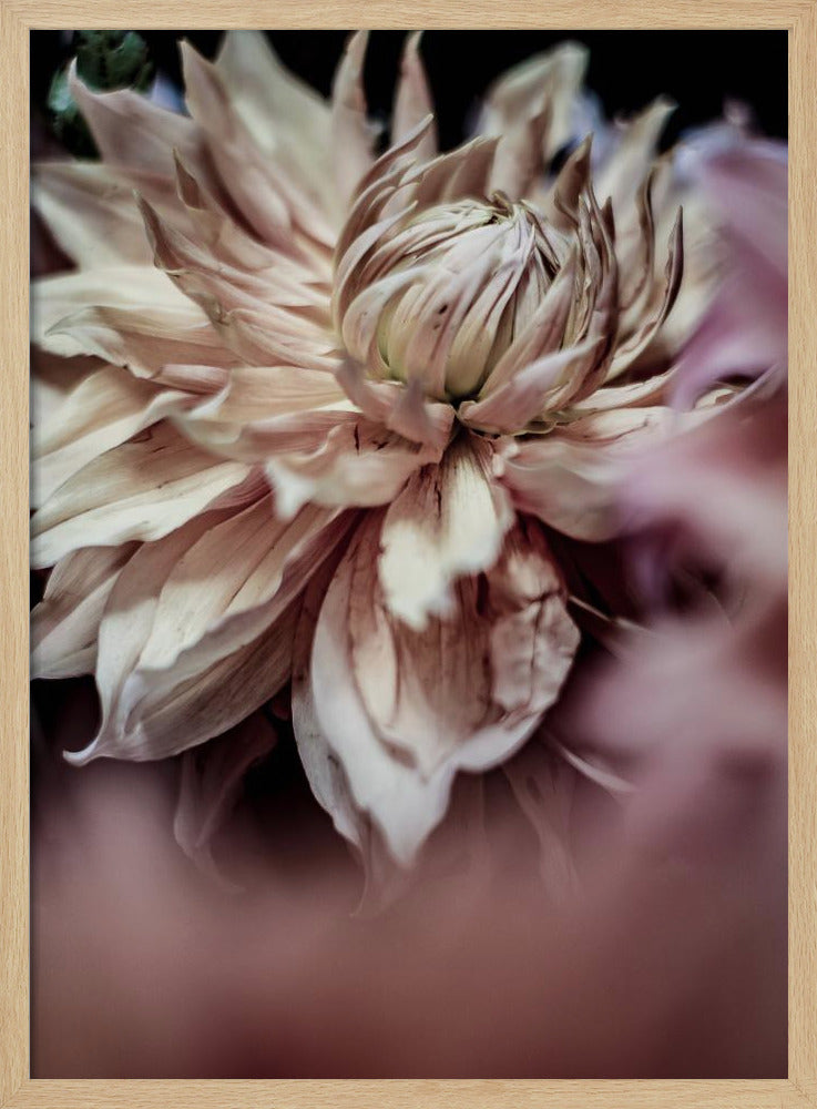 Blossom Whispers | Poster