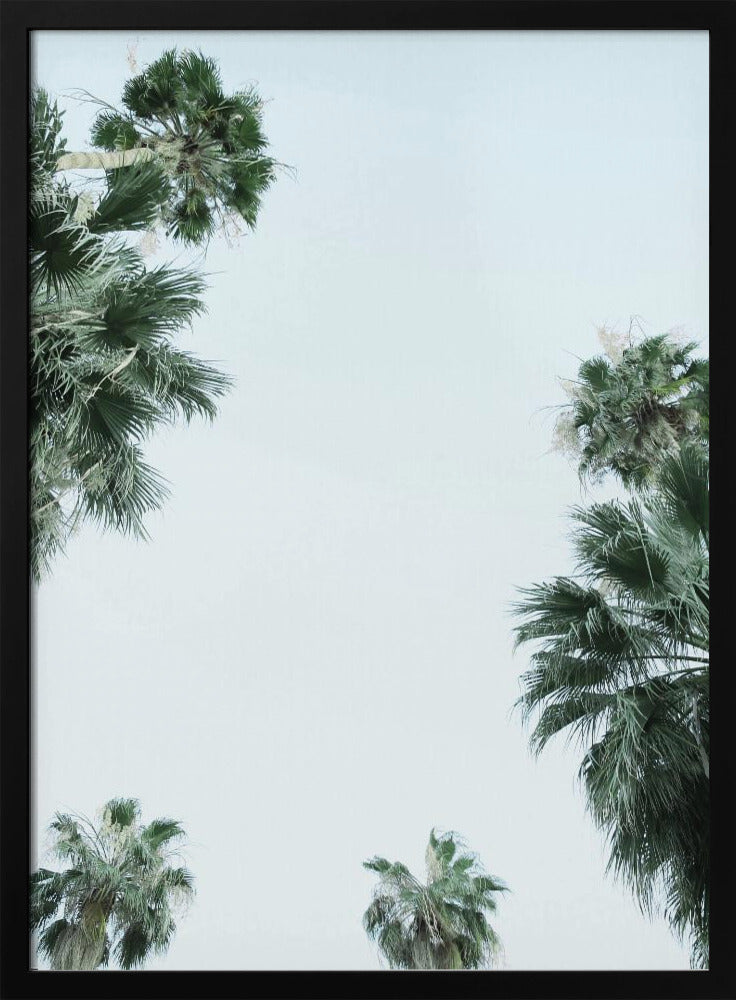 Palm Tree Serenity | Poster