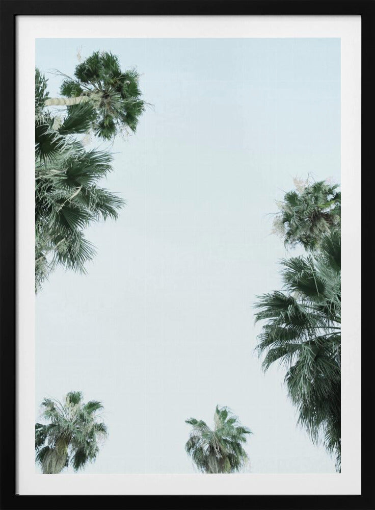 Palm Tree Serenity | Poster