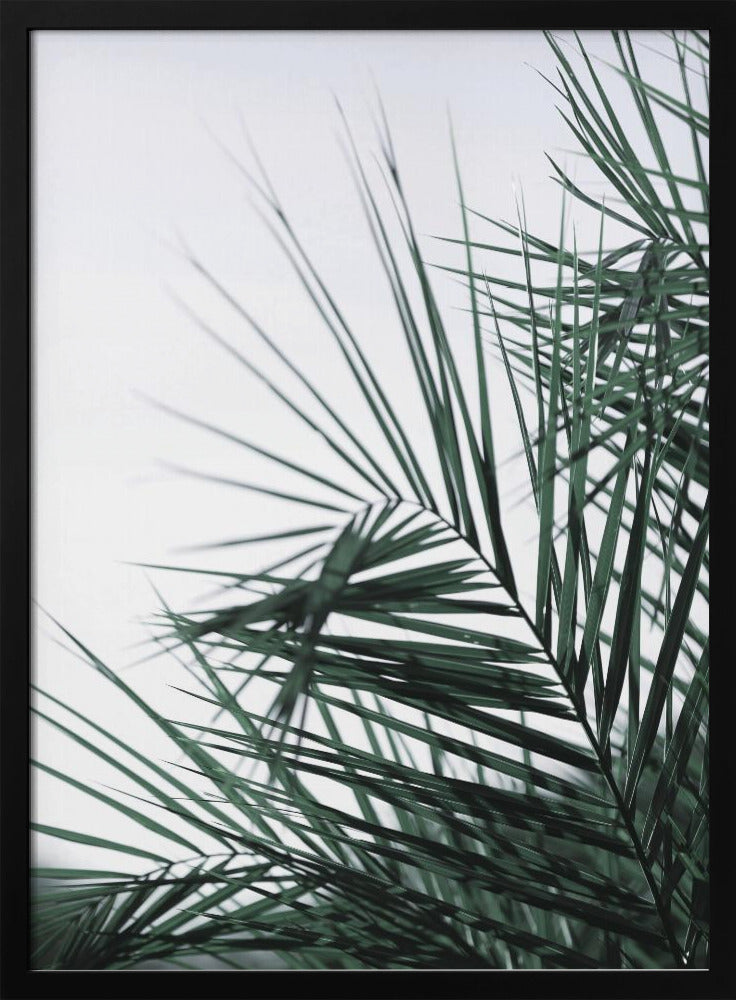 Whispering Palms | Poster