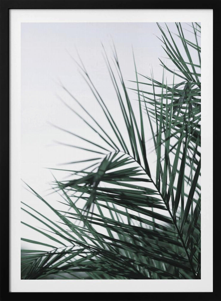 Whispering Palms | Poster
