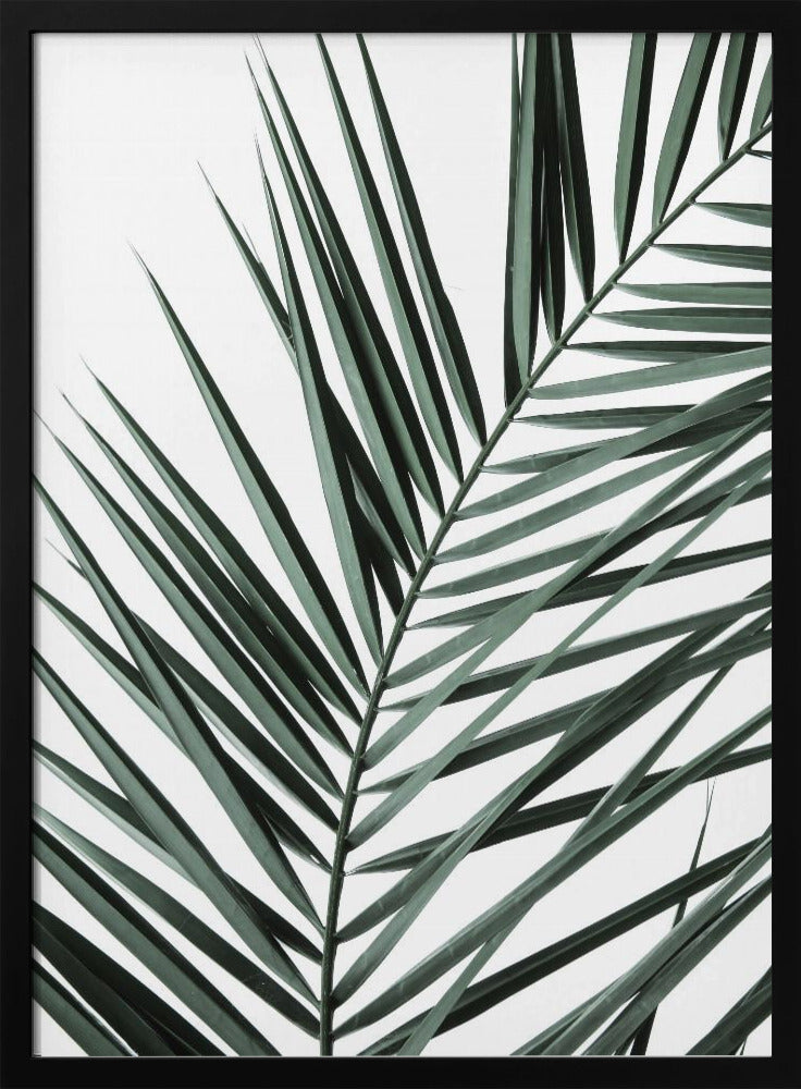 Leafy Elegance | Poster