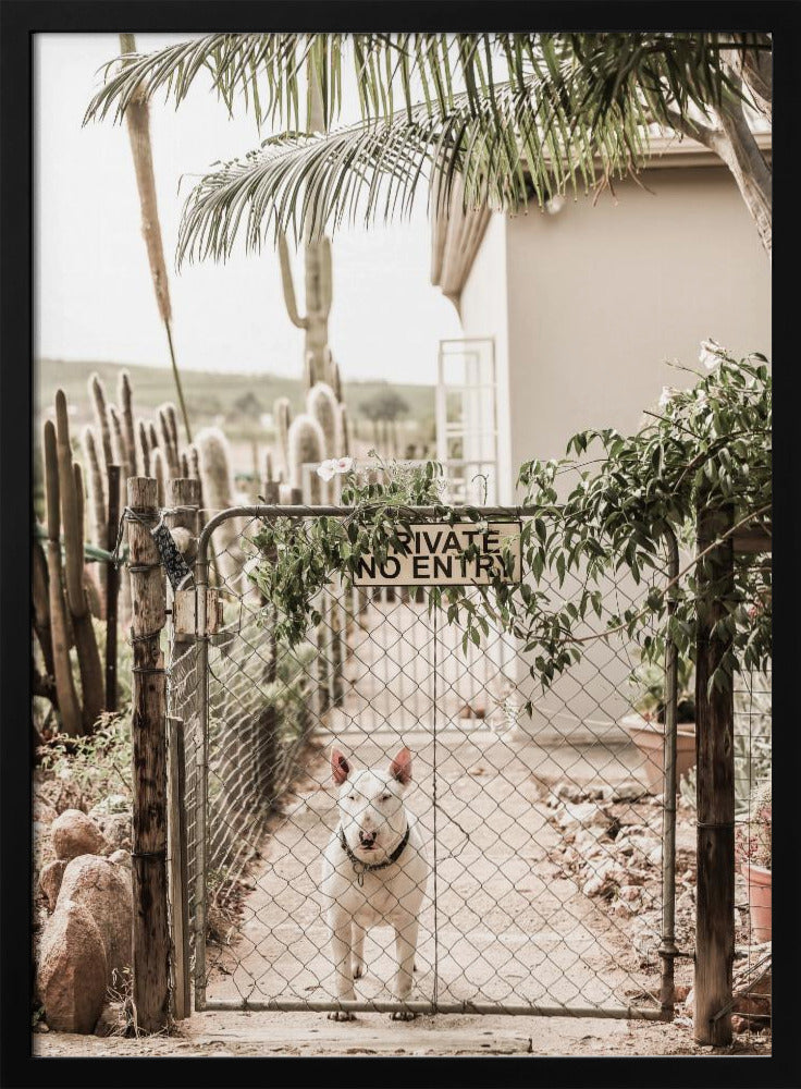 Guarding Serenity | Poster