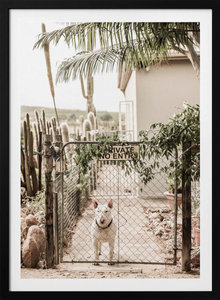 Guarding Serenity | Poster