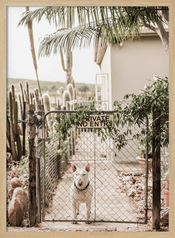 Guarding Serenity | Poster