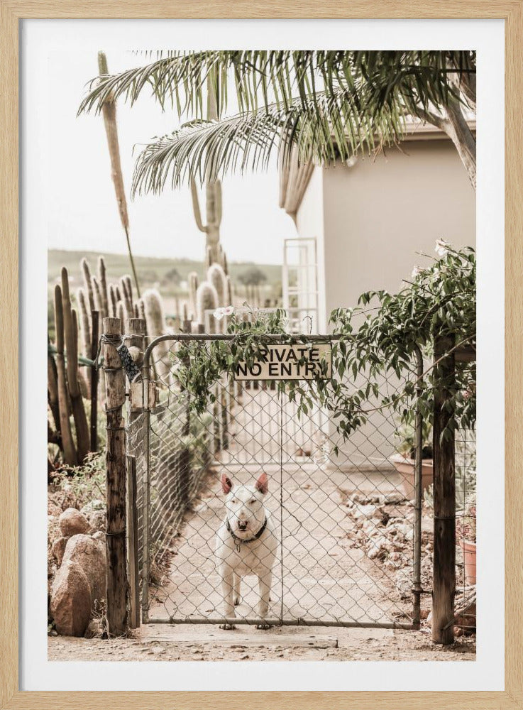 Guarding Serenity | Poster