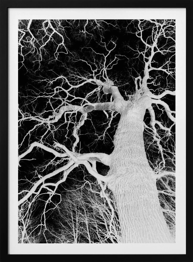 Inverse Arbor Essence | Poster