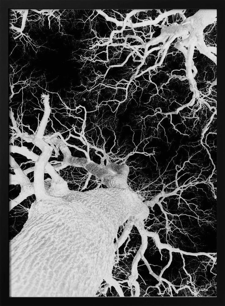 Winter&#039;s Veins | Poster