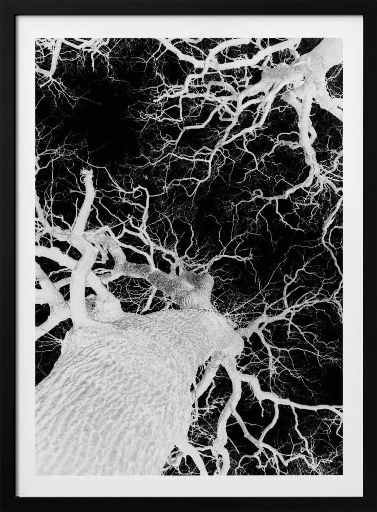 Winter&#039;s Veins | Poster