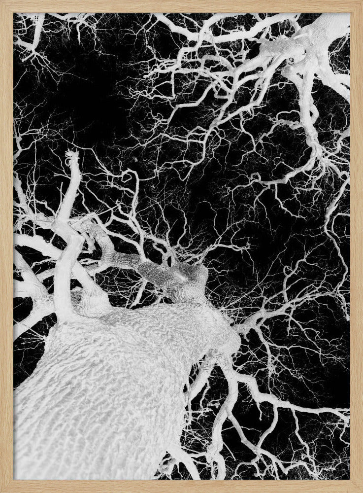 Winter&#039;s Veins | Poster