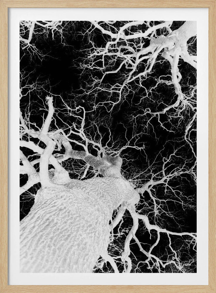 Winter&#039;s Veins | Poster