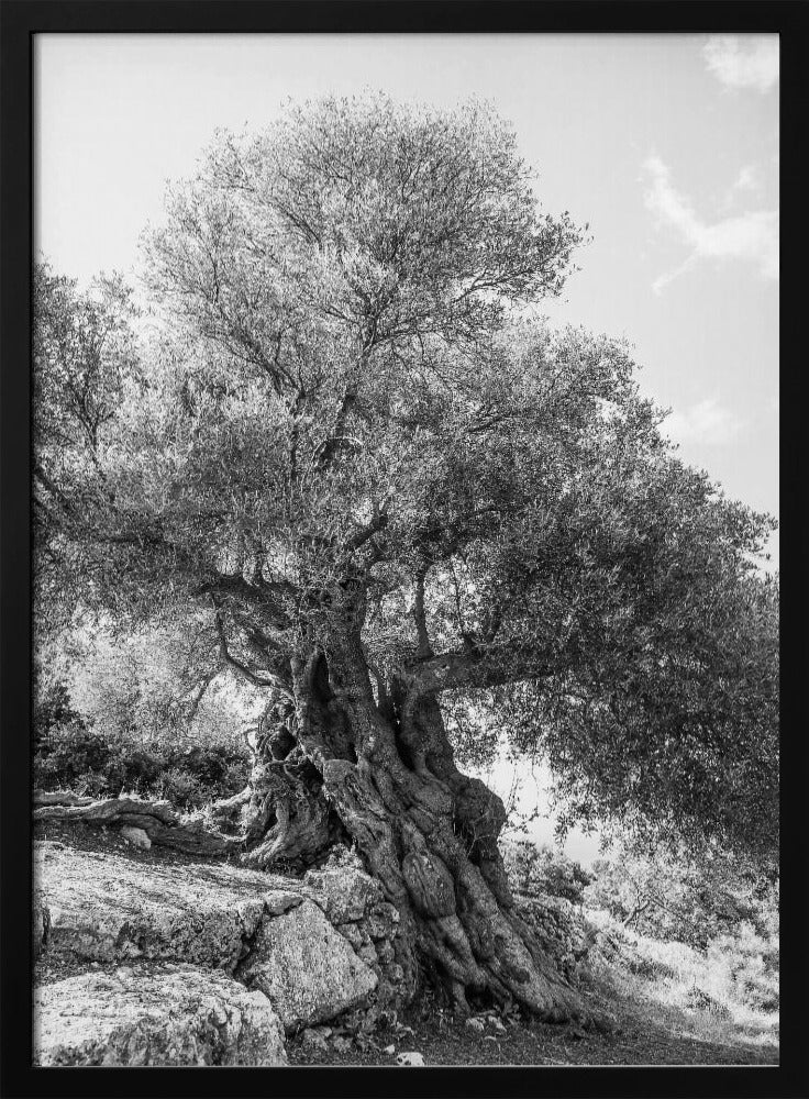 Ancient Sentinel | Poster