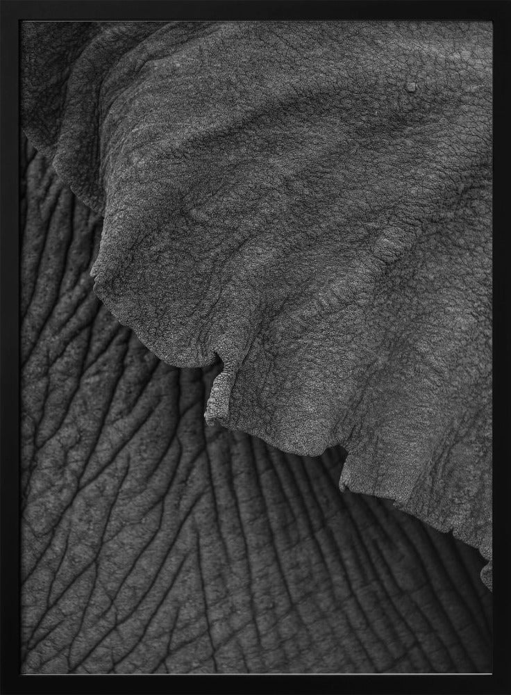 Wrinkles of Time | Poster