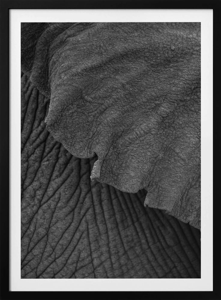 Wrinkles of Time | Poster