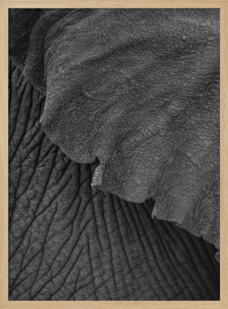 Wrinkles of Time | Poster