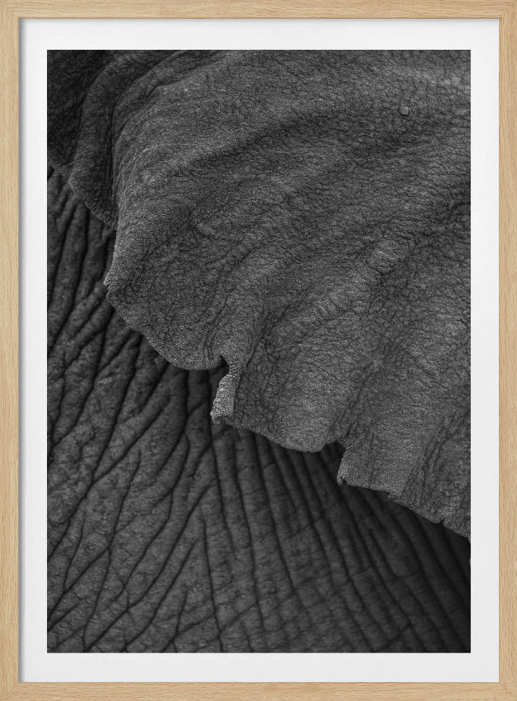 Wrinkles of Time | Poster