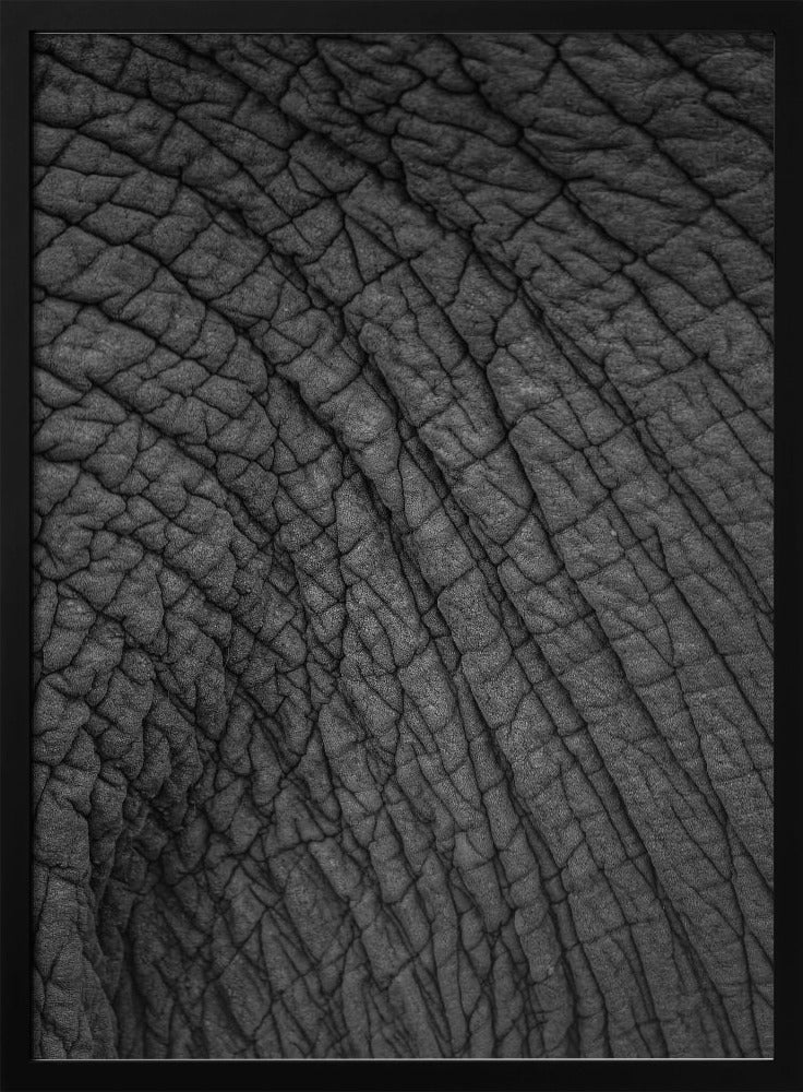 Elephant's Tapestry | Poster