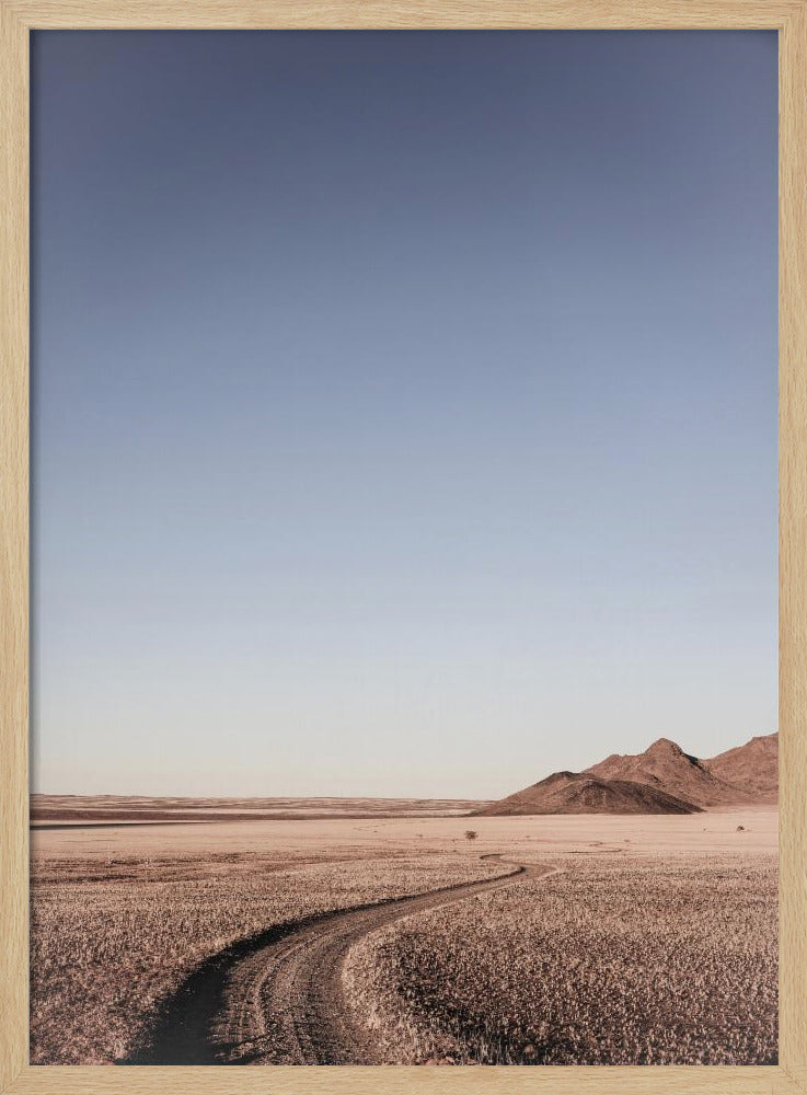 Desert Pathway | Poster