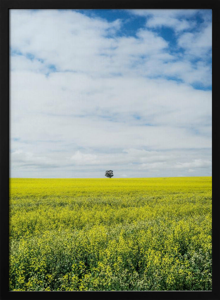 Solitary Tree Horizon | Poster