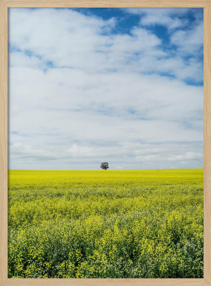 Solitary Tree Horizon | Poster