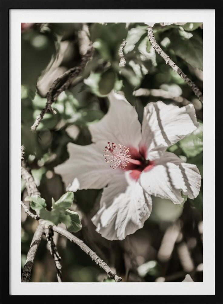 Whispering Blossom | Poster