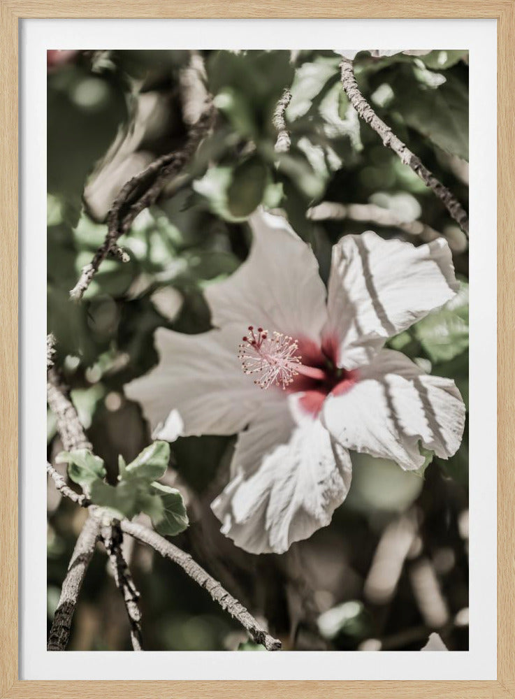 Whispering Blossom | Poster