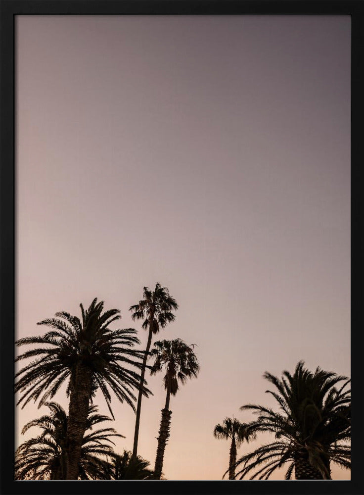 Twilight Palms | Poster