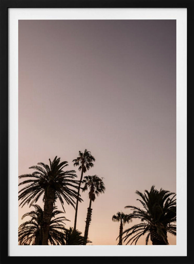 Twilight Palms | Poster