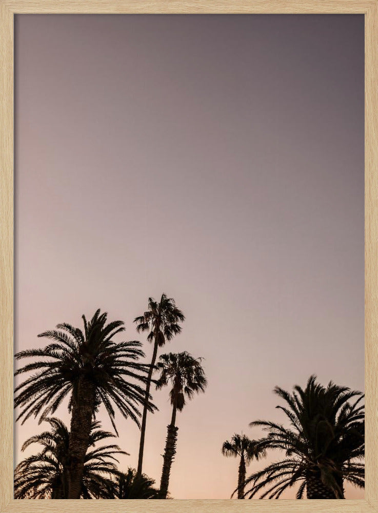 Twilight Palms | Poster