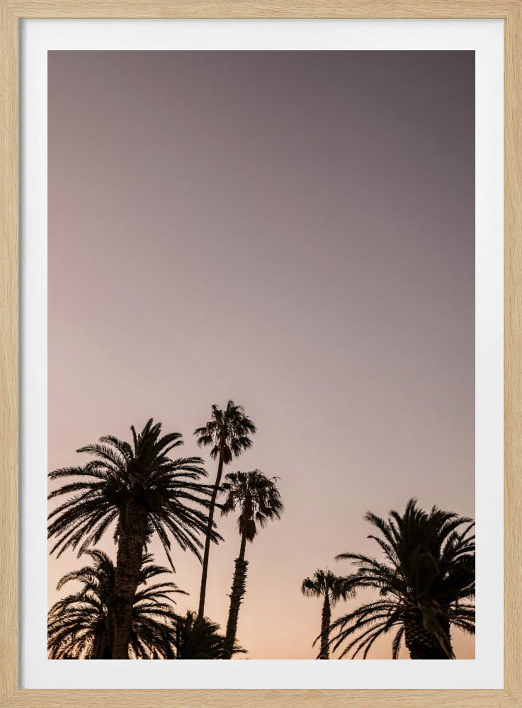 Twilight Palms | Poster