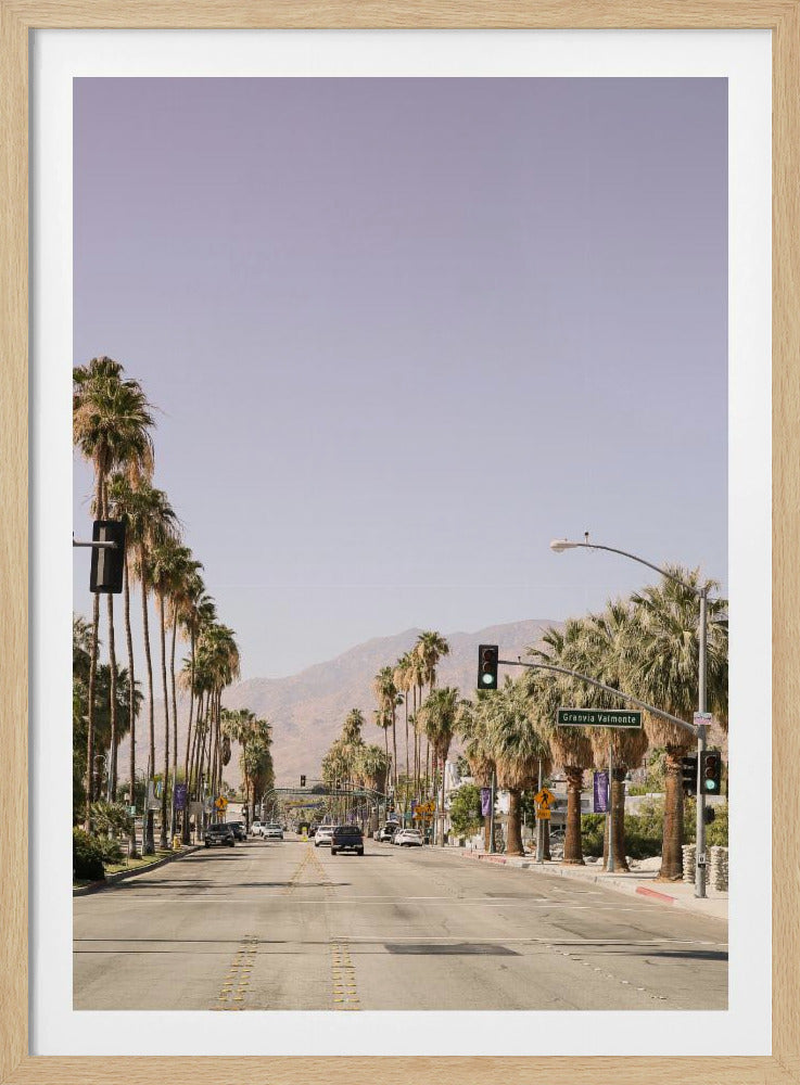 Palm-Lined Avenue | Poster