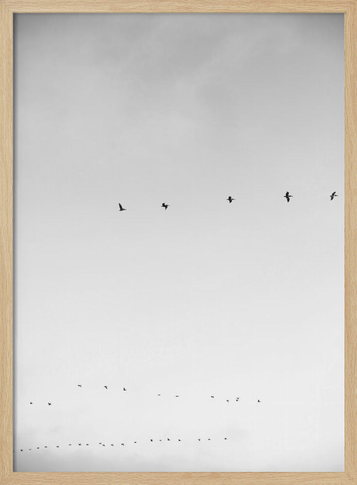 Skyward Flight | Poster