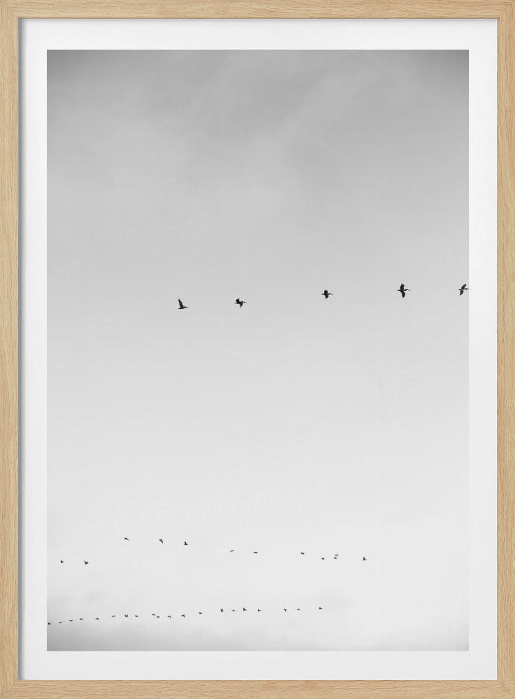 Skyward Flight | Poster