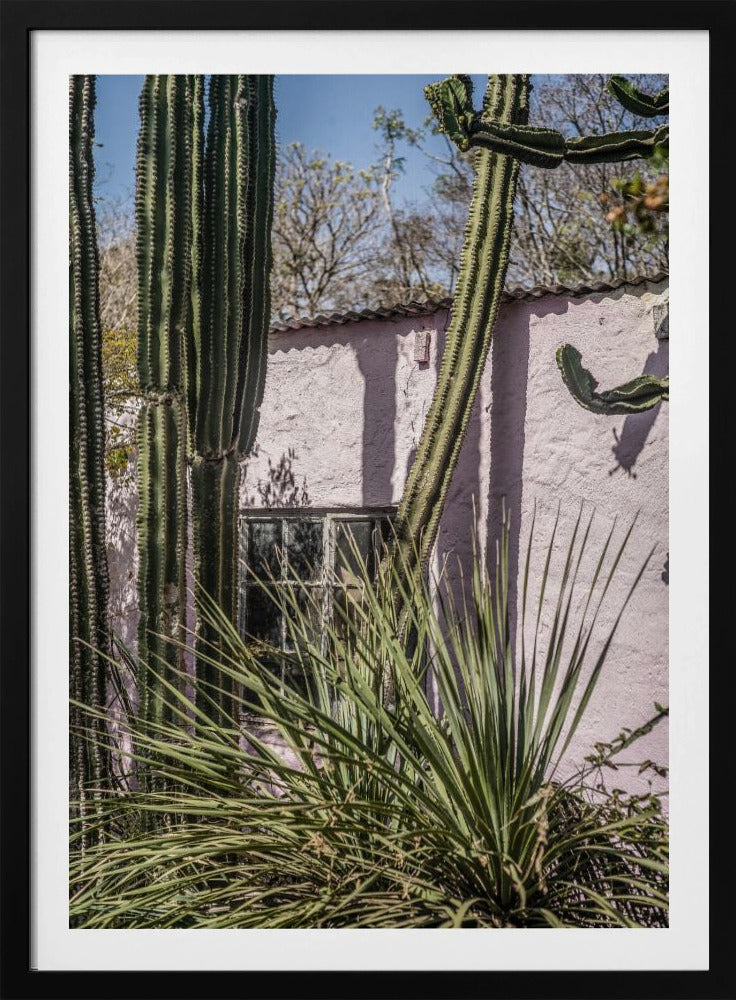 Cactus &amp; Pink Wall | Poster