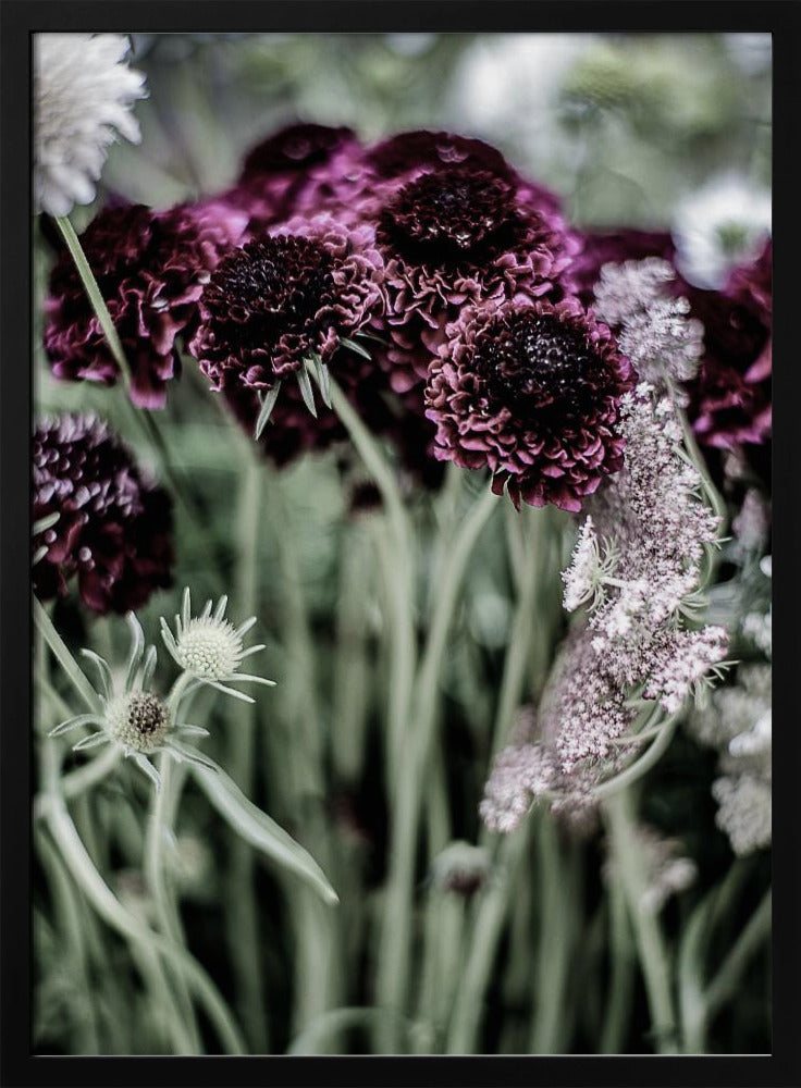 Whispers of Petals | Poster