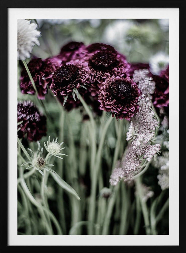 Whispers of Petals | Poster