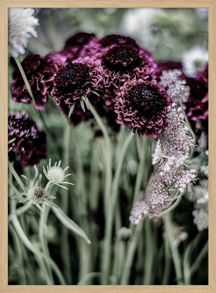 Whispers of Petals | Poster