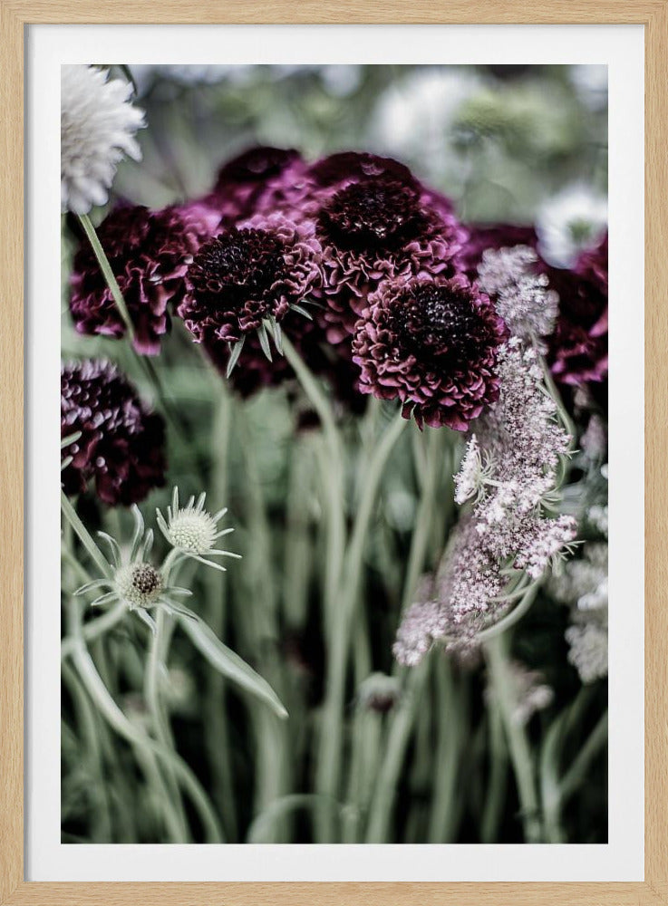 Whispers of Petals | Poster