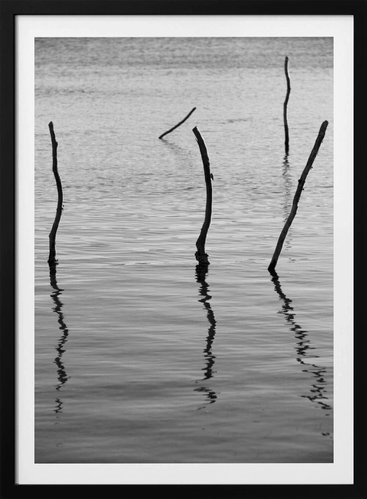 Silent Reflections | Poster