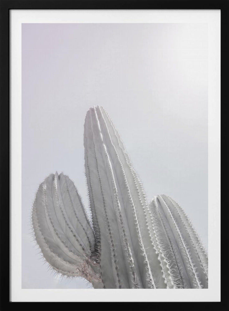 Minimalist Cactus | Poster