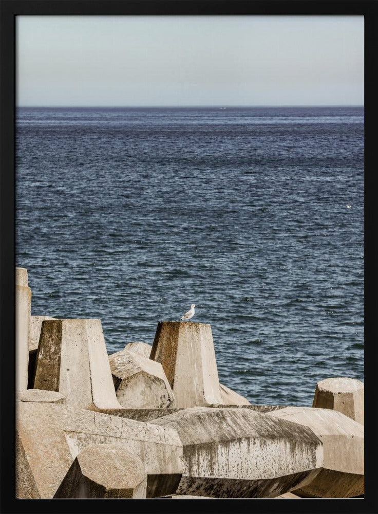 Seagull by the Sea | Poster