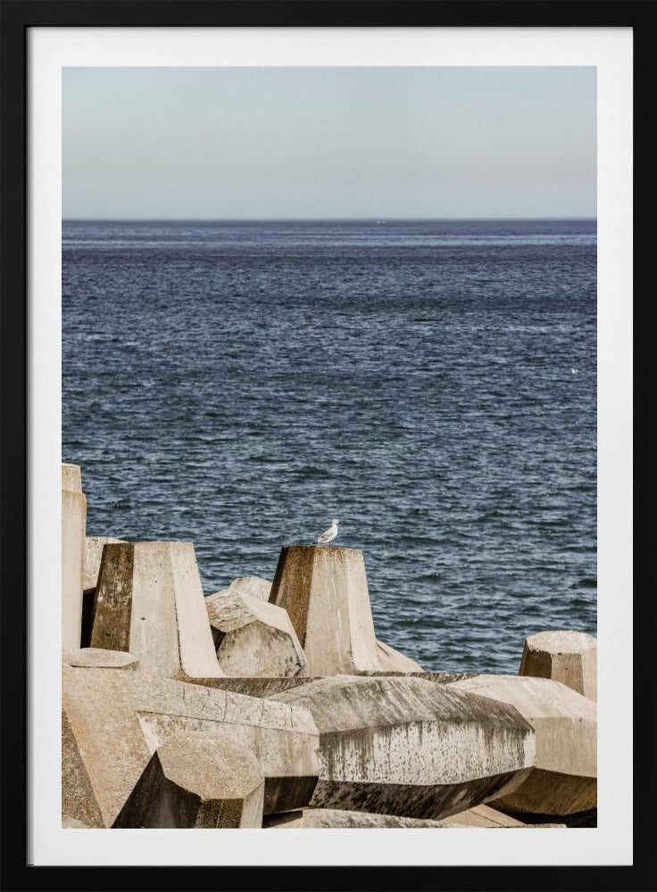 Seagull by the Sea | Poster