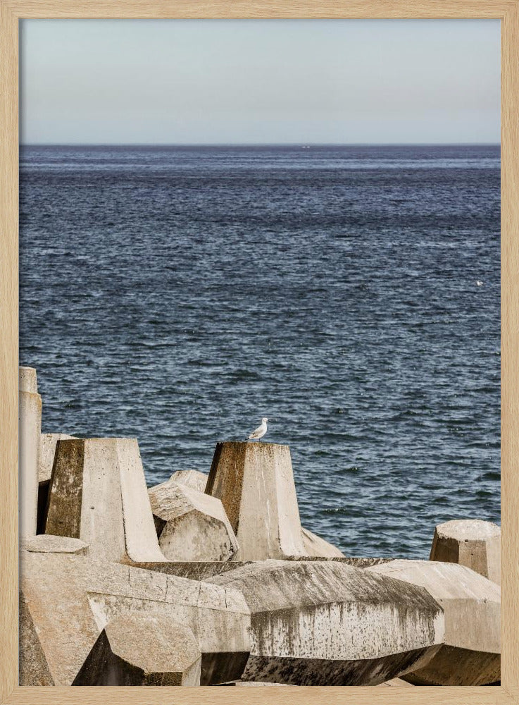 Seagull by the Sea | Poster