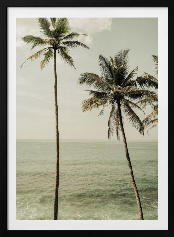Oceanside Palms | Poster