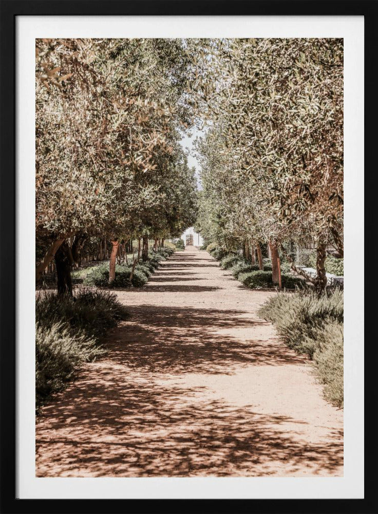A Serene Tree Lined Path with Sunlight | Poster