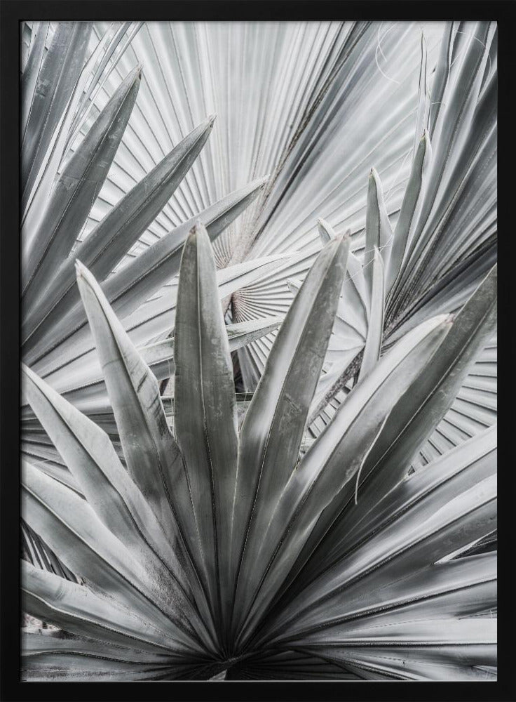 Silver Spray | Poster