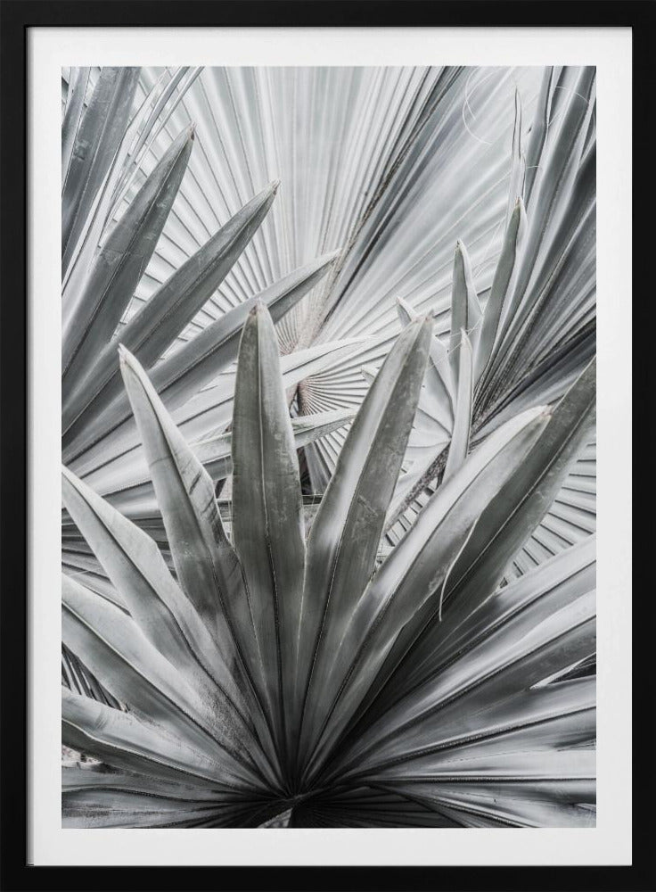 Silver Spray | Poster