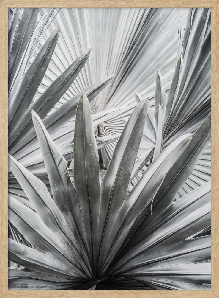 Silver Spray | Poster