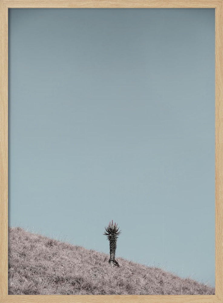 Minimalist Artwork | Poster